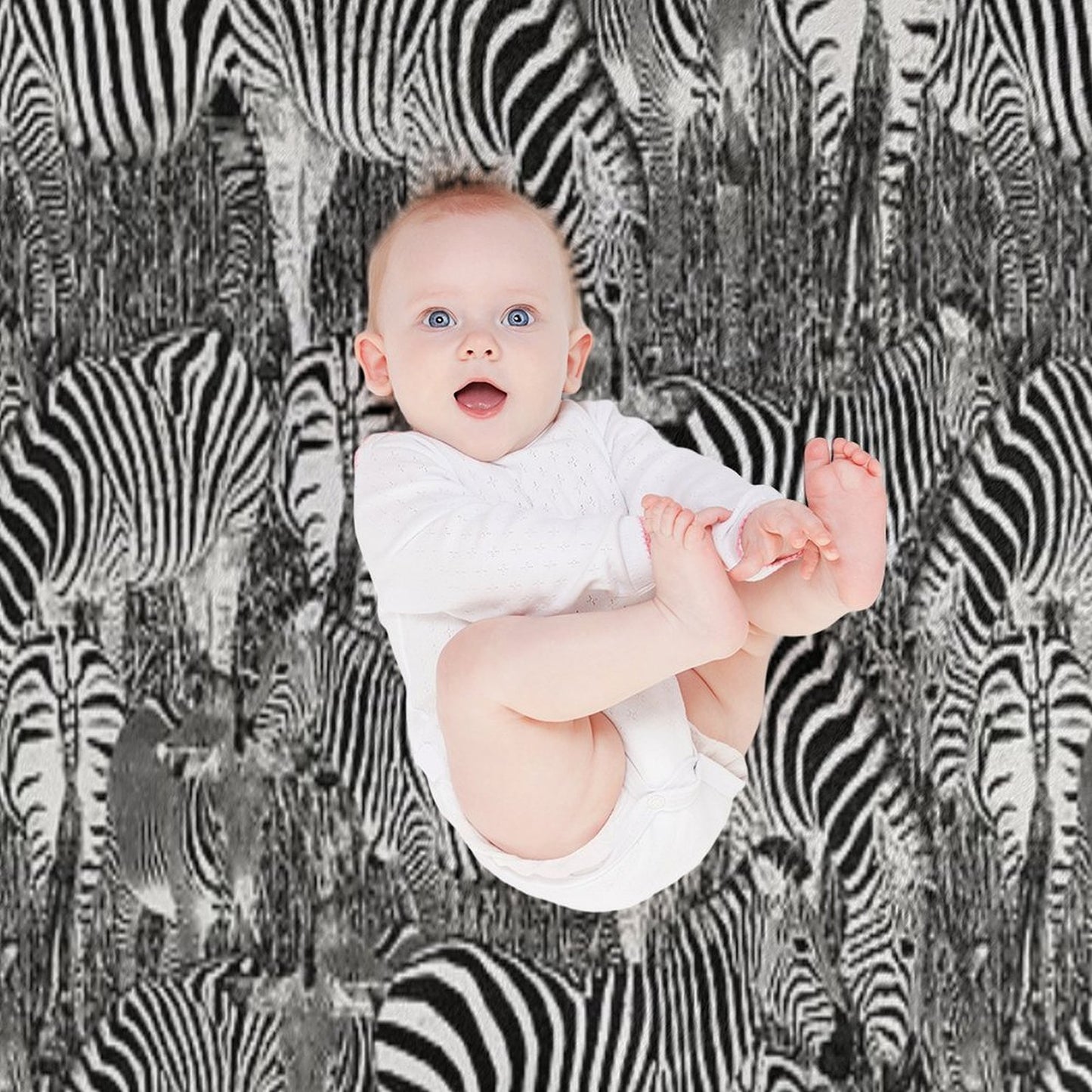 Zebra Herd Comfort Throw Blanket