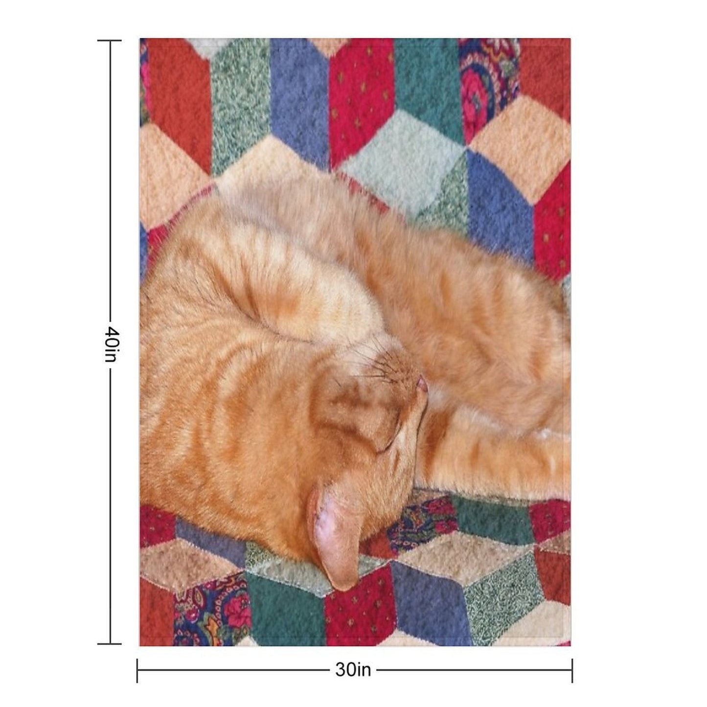 Ginger Cat Napping Eco-conscious Throw Blanket