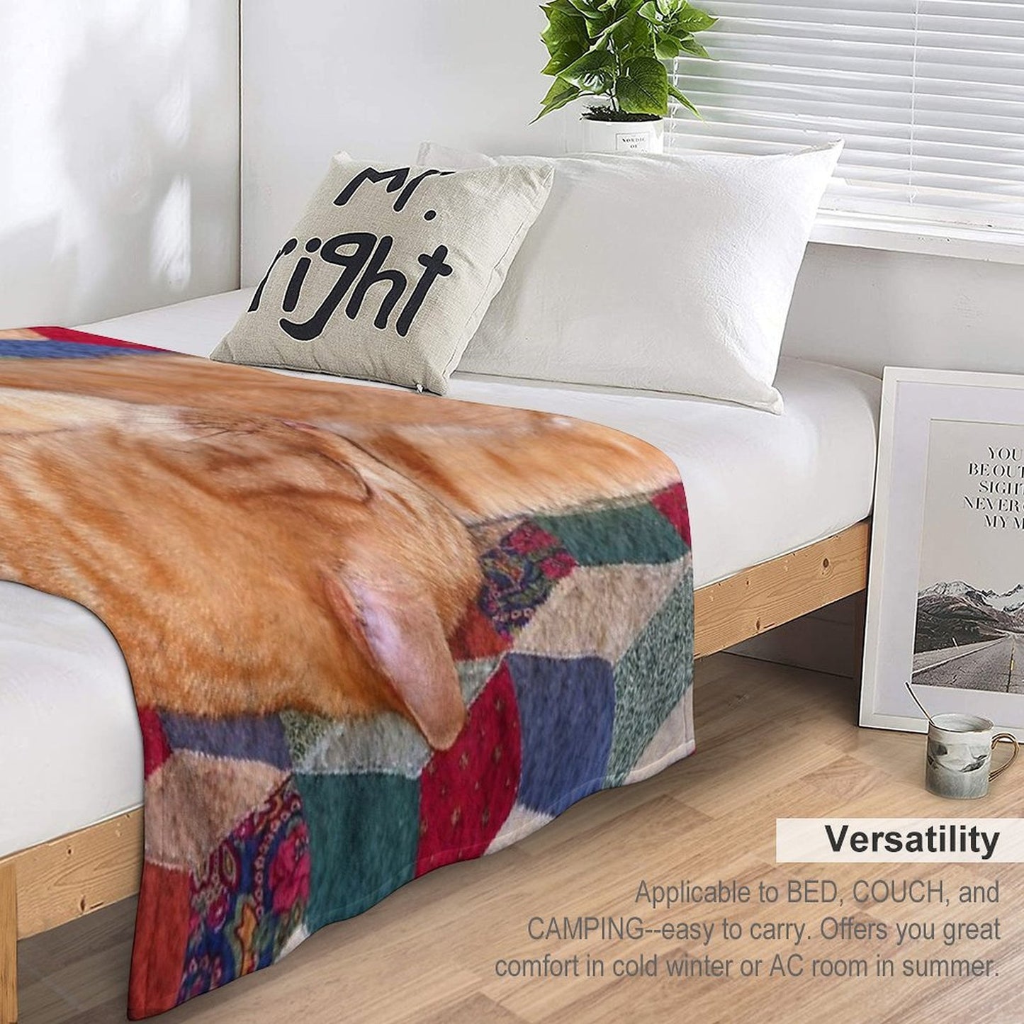 Ginger Cat Napping Eco-conscious Throw Blanket