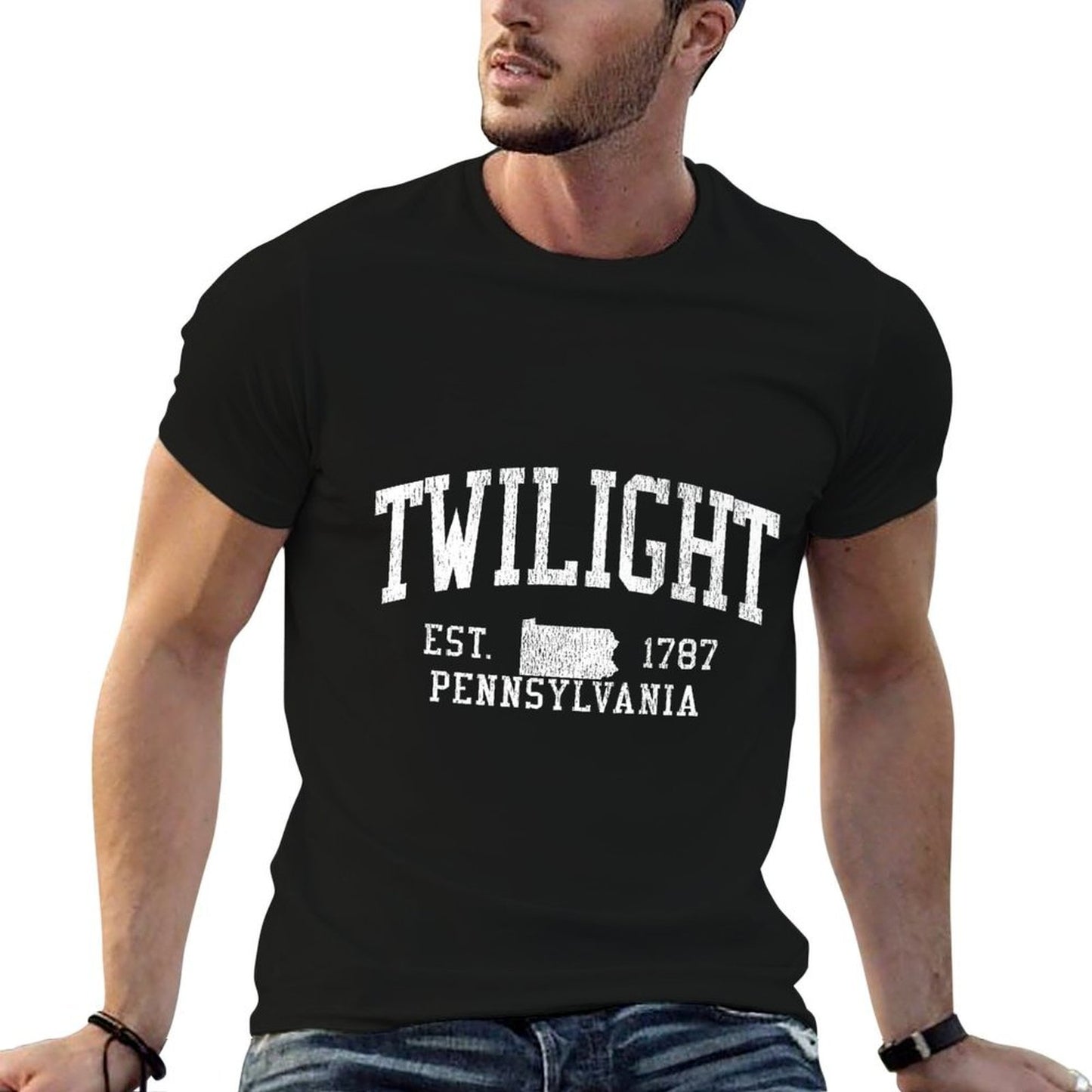Twilight PA Vintage Athletic Sports JS01 Premium Easy-care T-Shirt