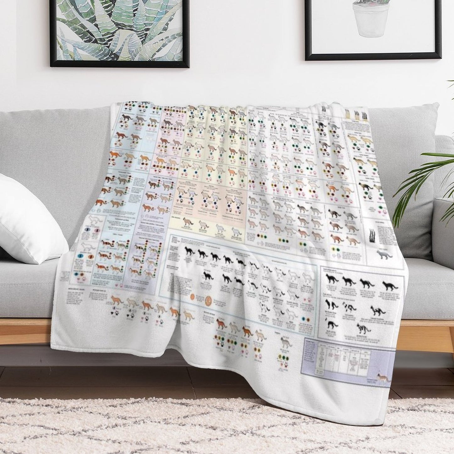 House Cat Colors And Patterns Sustainable Throw Blanket