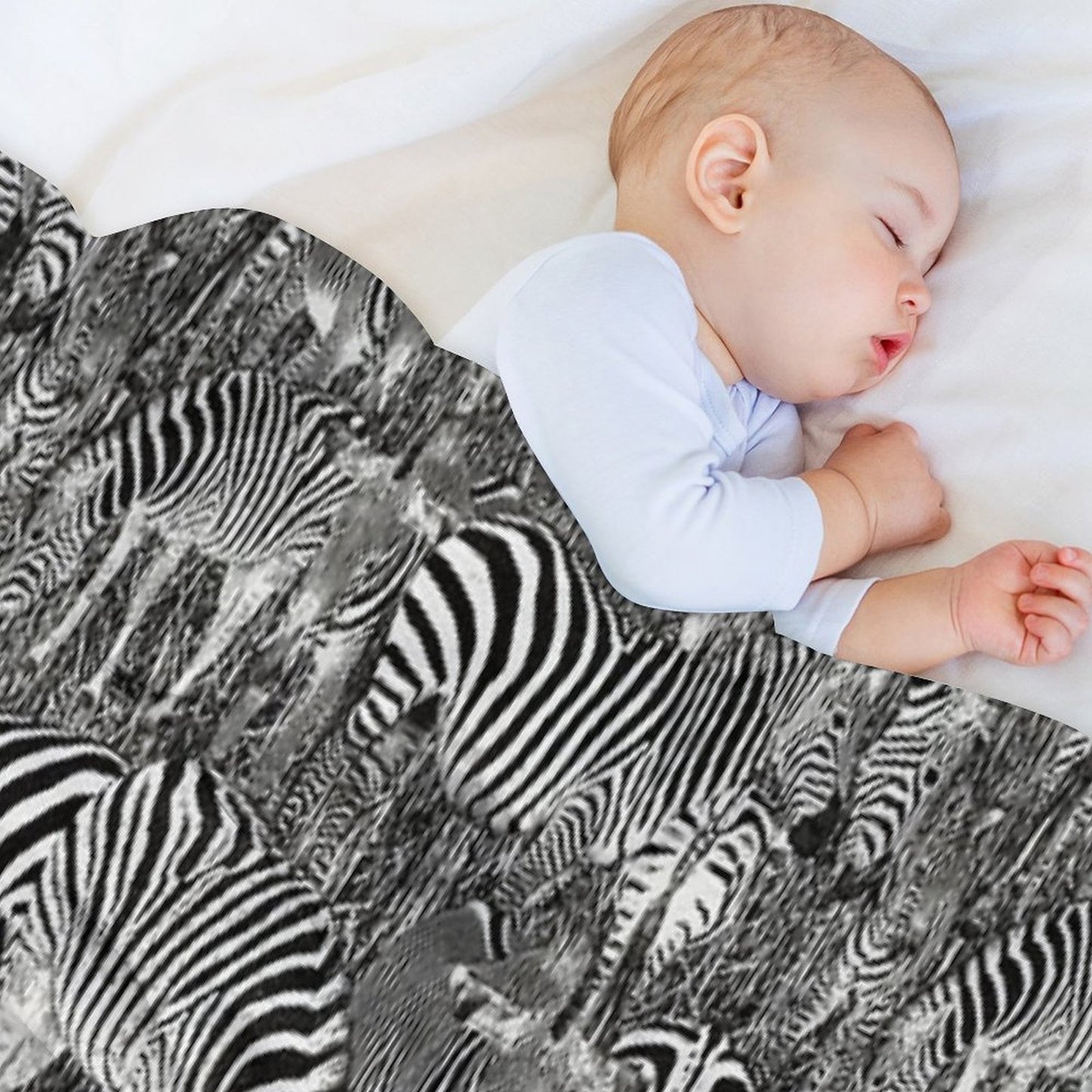 Zebra Herd Comfort Throw Blanket
