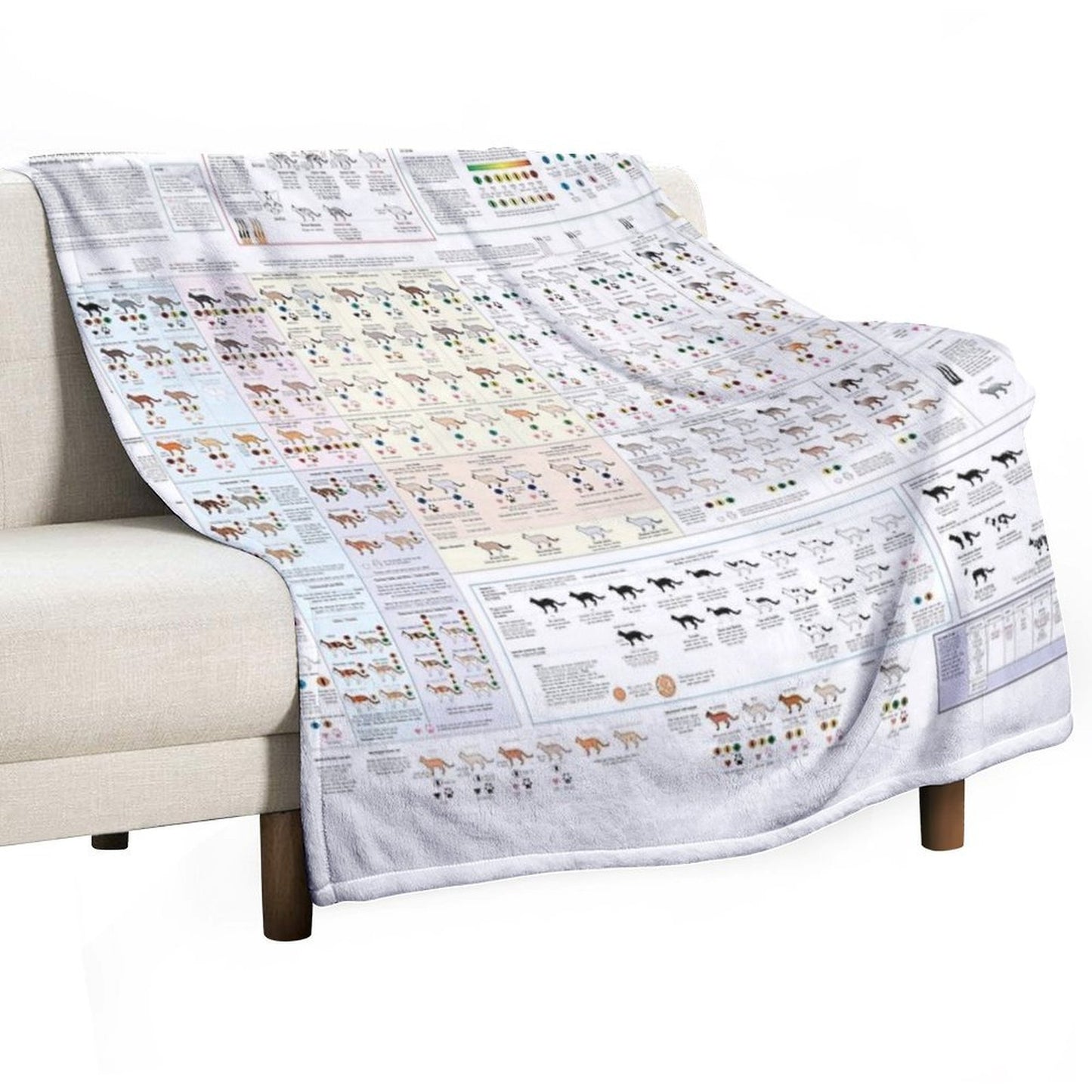 House Cat Colors And Patterns Sustainable Throw Blanket